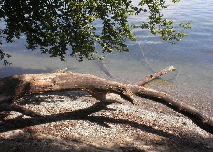 Apartament Wertke Konstancja